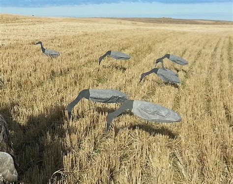 sandhill crane windsock decoys.